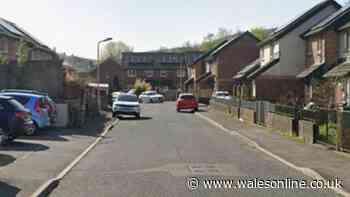 Armed police descend on quiet Rhondda street in broad daylight