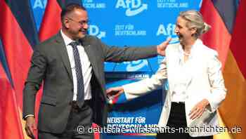 AfD-Parteitag in Erfurt: Massiver Protest gegen die AfD - Spitzenduo bestätigt