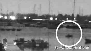 Police release CCTV of missing Brazilian academic rowing in British marina before 'leaving harbour on unmoored boat' as search for her enters fourth month