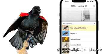 Merlin bird ID app is now eyeing a global database of our vanishing feathery friends