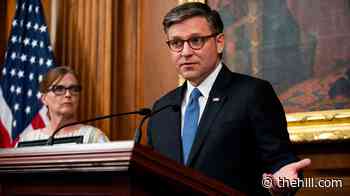 Mike Johnson: 14th Amendment 'devalued' by 'birthright tourism'