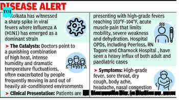H1N1 makes comeback as hosps report cases amid temp see-saw