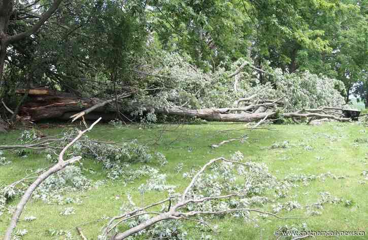 Extra services offered for area residents cleaning up storm damage