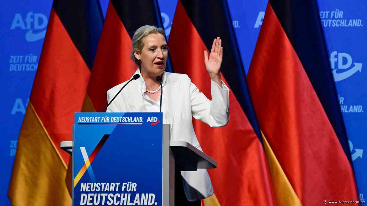 Analyse zum AfD-Parteitag: Wie Weidel und Höcke ihre Macht ausbauen