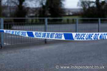 Bodies of two missing men found in car hidden in ‘thick undergrowth’