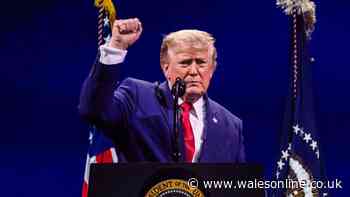 Donald Trump thanks FIFA as USA 'great injustice' at World Cup is reversed