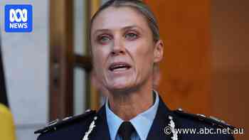 AFP to push Australia's policing model to UN