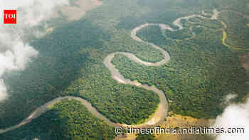 Congo River releases 40,000 cubic metres of freshwater into the Atlantic every second. Scientists trace where it goes