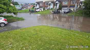 Proposed class actions target City of Montreal, West Island suburbs, after floods