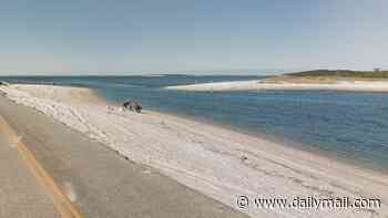 Girl, 6, is swept to her death on ritzy Hamptons beach during morning swim on July 4
