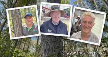 Timber or carbon: the hidden conflict between public forest credits and private logging