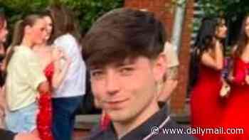 Teenager, 19, is in a coma and has been left with 47 per cent burns after 'e-bike charger exploded' and caused a fire at his friend's house