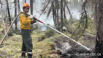 Shifting winds around Wrigley, N.W.T., causing fire to 'hiccup'