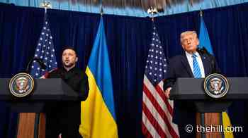 Trump to huddle with Zelensky, Syrian leader at NATO Summit