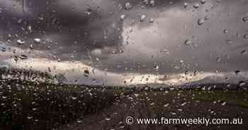 'We're on the drier side': growers hope for more rainfall amid low totals