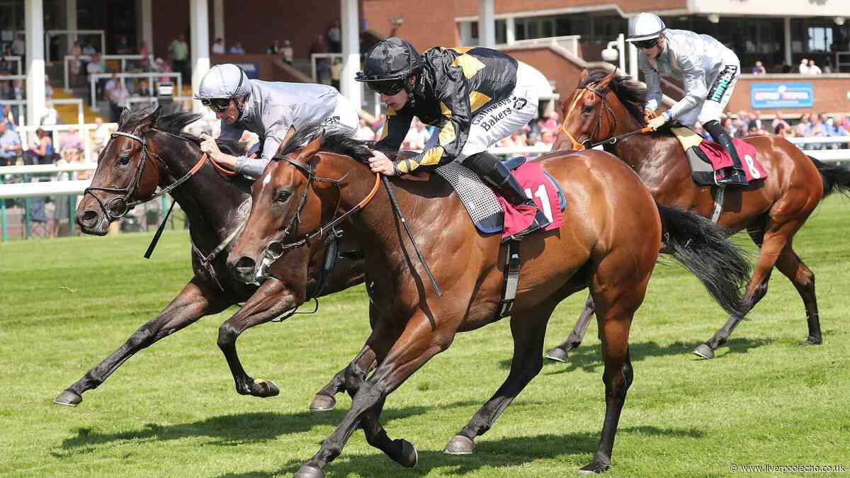 Claim a free pair of horse racing tickets in association with Racing TV