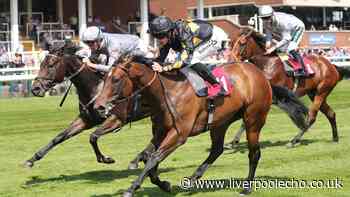 Claim a free pair of horse racing tickets in association with Racing TV