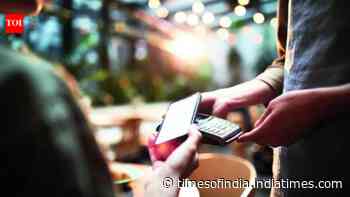 Indonesia looks beyond UPI, eyes India's digital blueprint