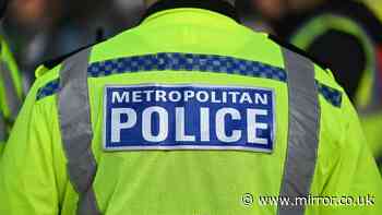 Police service needs an 'ethical reset' as 'nepotism' in senior ranks slammed