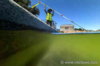 Interior secretary says administration will use the same company to repair Reflecting Pool