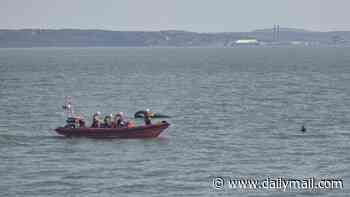 Person is rushed to hospital after jet ski and inflatable carrying children collide off the coast of Hampshire