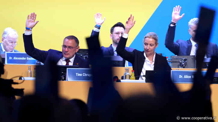 "Reclamaremos nuestro derecho": La ultraderecha alemana reafirmó su intención de gobernar