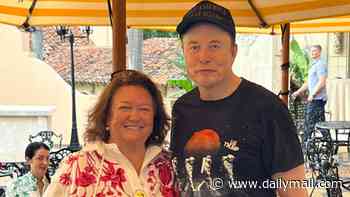 Gina Rinehart's bold call to gift Elon Musk an island in Australia for 'no cost' as list emerges of potential sites to launch his SpaceX rockets