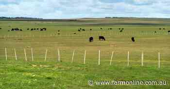 Food or forestry: political storm brews over sale of Tasmania's largest farm
