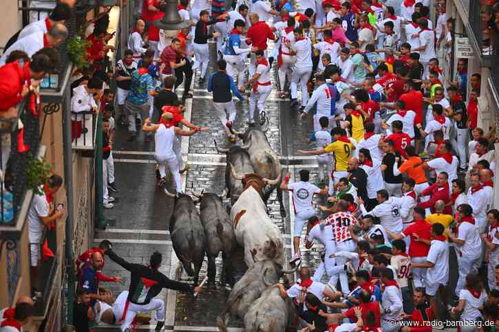 Spanische Stierhatz startet – Tradition oder Tier-Folter?