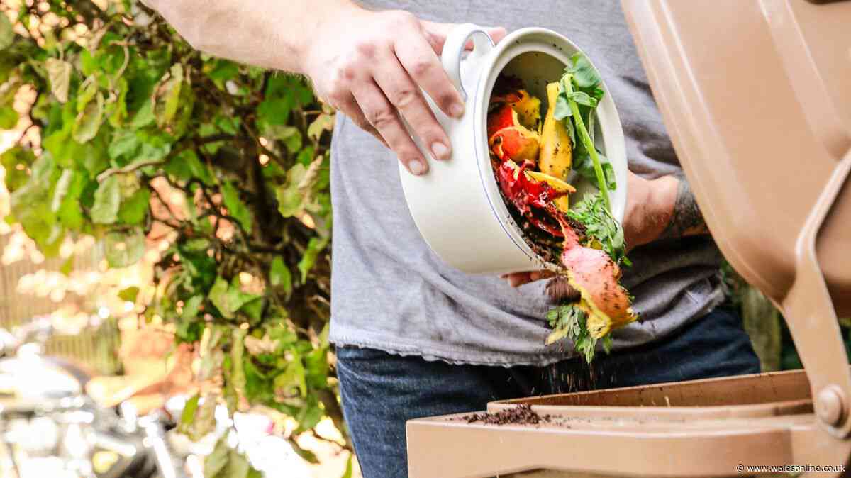 Key task every UK household should do to stop bad smell