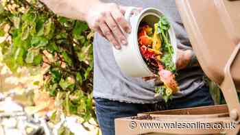Key task every UK household should do to stop bad smell
