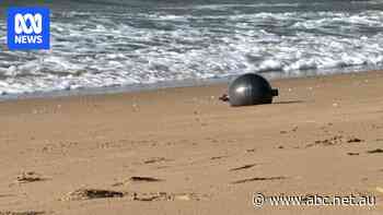 Space agency says mystery objects likely fuel vessels from launch vehicle