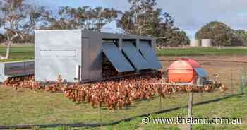 Vaccines, poultry and preparation: CSIRO confirms sixth H5N1 bird flu case