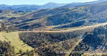 Pioneering High Country carbon farm and ecological refuge up for sale