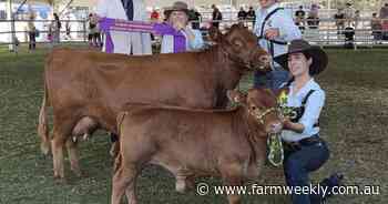 WA youth to compete on the national stage in ag judging and parading events