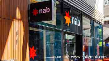 Aussie's close call after nearly losing $200,000 to scammer - and the red flags she missed