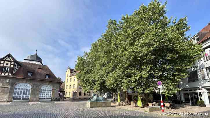 Mit mehr Grün gegen die Hitze wappnen