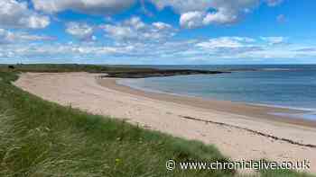 The best beach in the North 2026 has been crowned and it's in Northumberland