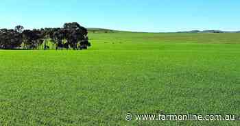 Historic 2635ha Mid North farm portfolio listed for sale after 150 years