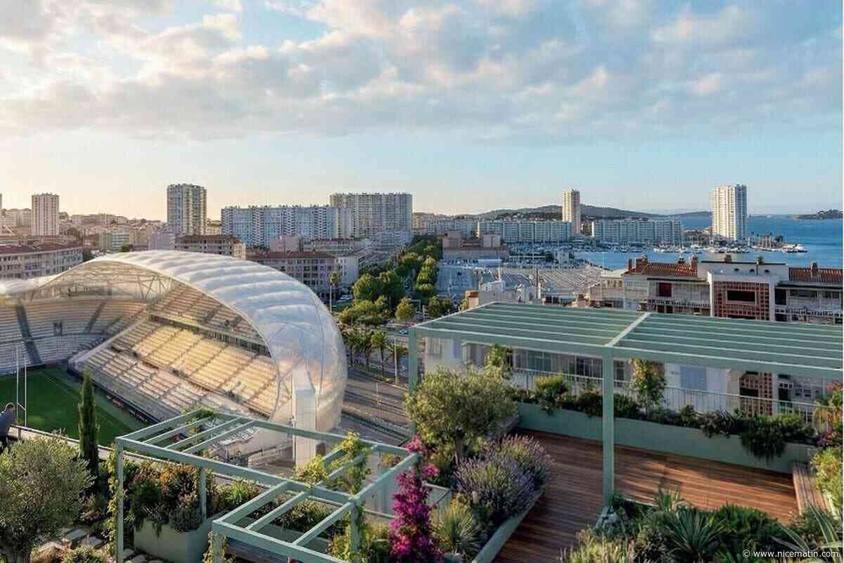 Stade Mayol, Casa d’Italia, water rugby… On a fait le point sur les gros dossiers sportifs à Toulon, avec l’adjoint au maire Pierre Bonnefoy