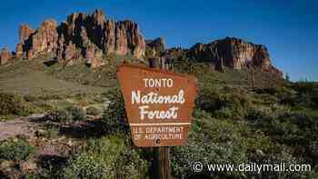 Arizona man arrested for living in garbage-filled campsite on grounds of national forest for nearly a decade