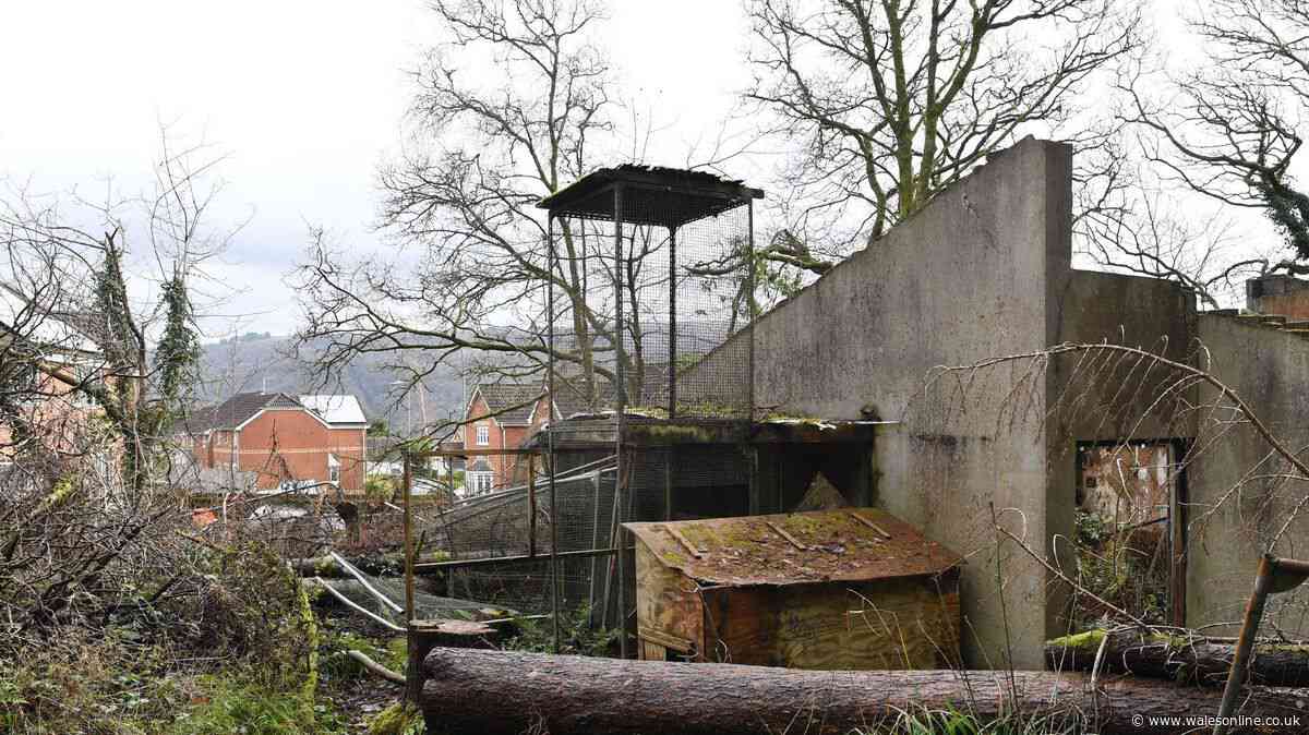 Much-loved Welsh zoo closed forever after 27 years now abandoned and rotting