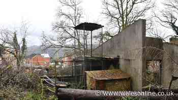 Much-loved Welsh zoo closed forever after 27 years now abandoned and rotting