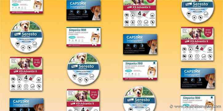 The best flea and tick treatments for dogs, with guidance from veterinarians
