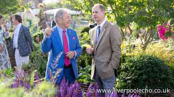 Make your garden a safe haven for hedgehogs with Alan Titchmarsh advice