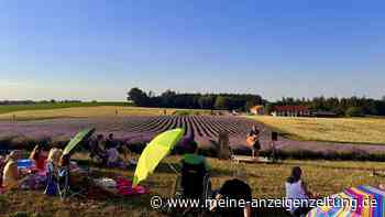 Helga Brenninger gibt Premiere von „Lavendelmeer" im größten Lavendelfeld Süddeutschlands