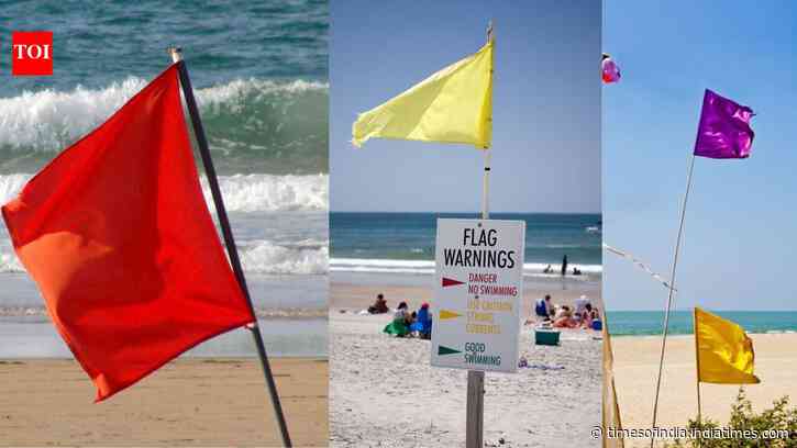 What do red, yellow, purple, green, and double flags mean at the beach? Why every traveller should be aware of these beach rules