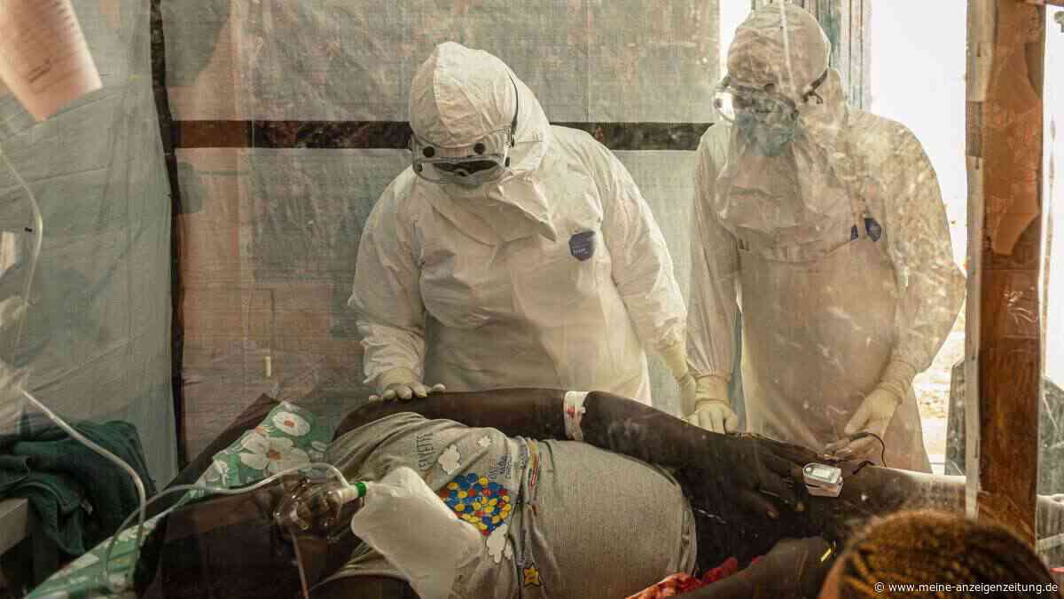 Bereits mehr als 500 Ebola-Tote im Kongo
