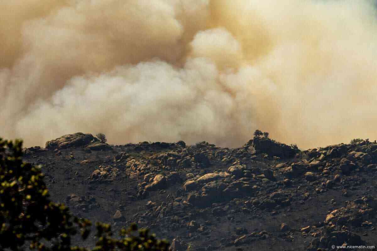4.600 hectares parcourus, 10.000 personnes évacuées, 700 pompiers mobilisés… On fait le point sur l’incendie dans les Pyrénées-Orientales et les autres gros feux en France