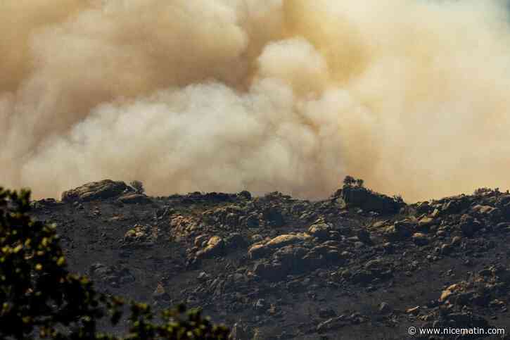 4.600 hectares parcourus, 10.000 personnes évacuées, 700 pompiers mobilisés… On fait le point sur l’incendie dans les Pyrénées-Orientales et les autres gros feux en France